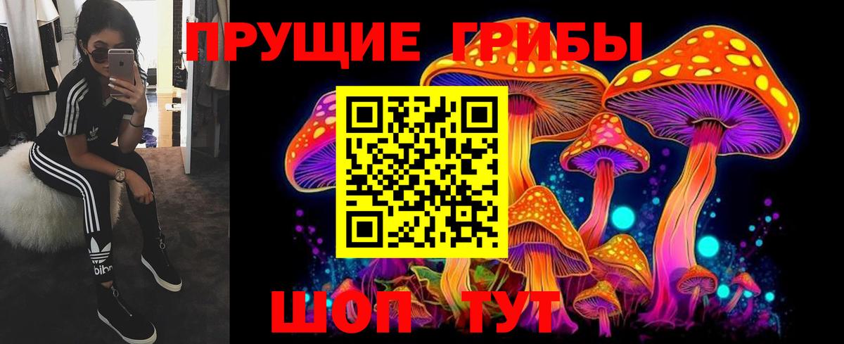 Галлюциногенные грибы MAGIC MUSHROOMS  Вход с VPN  Галлюциногенные грибы Psilocybine cubensis  Дмитров 